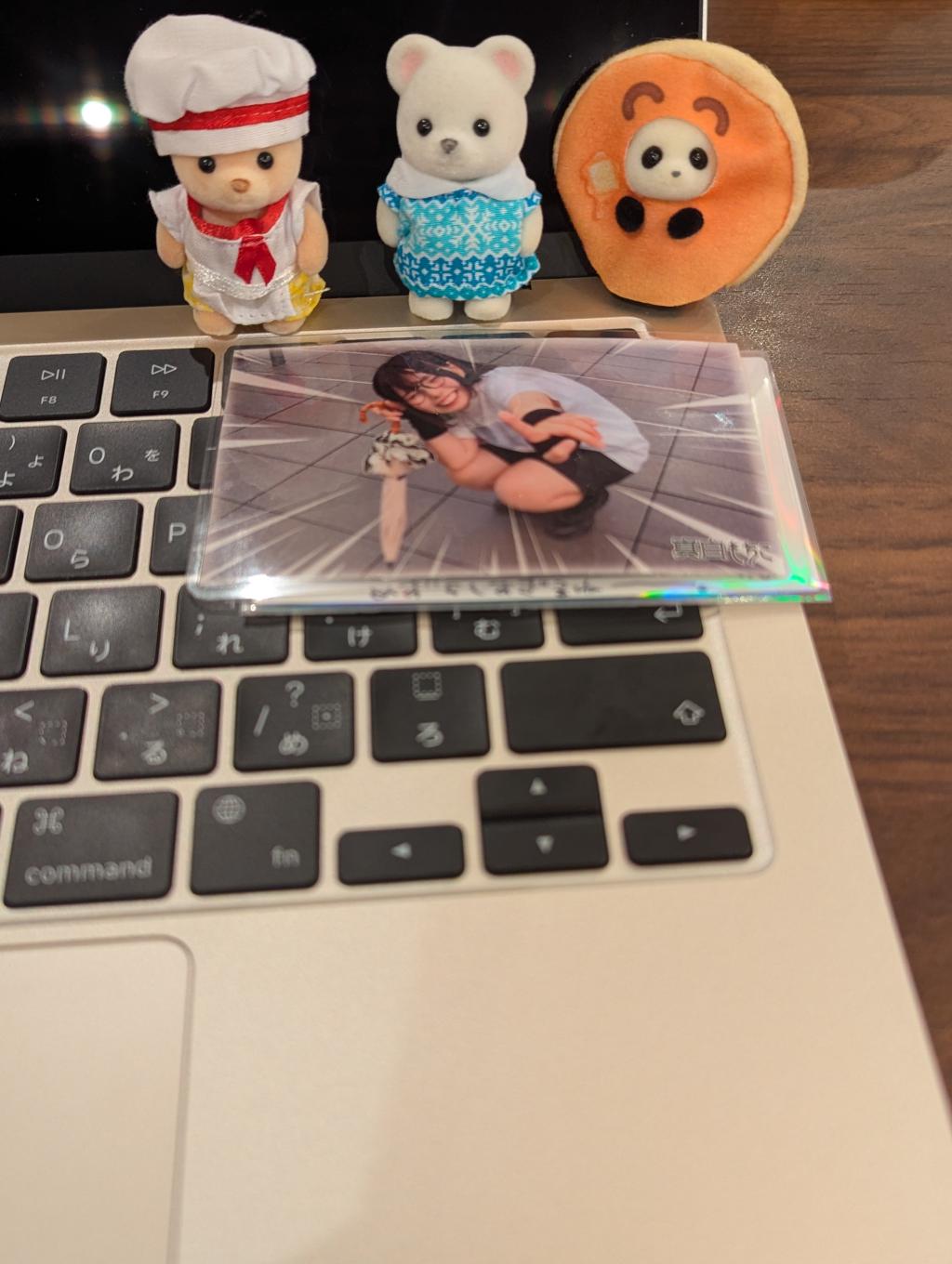 もちこラミカ with もちこさん家の熊たち